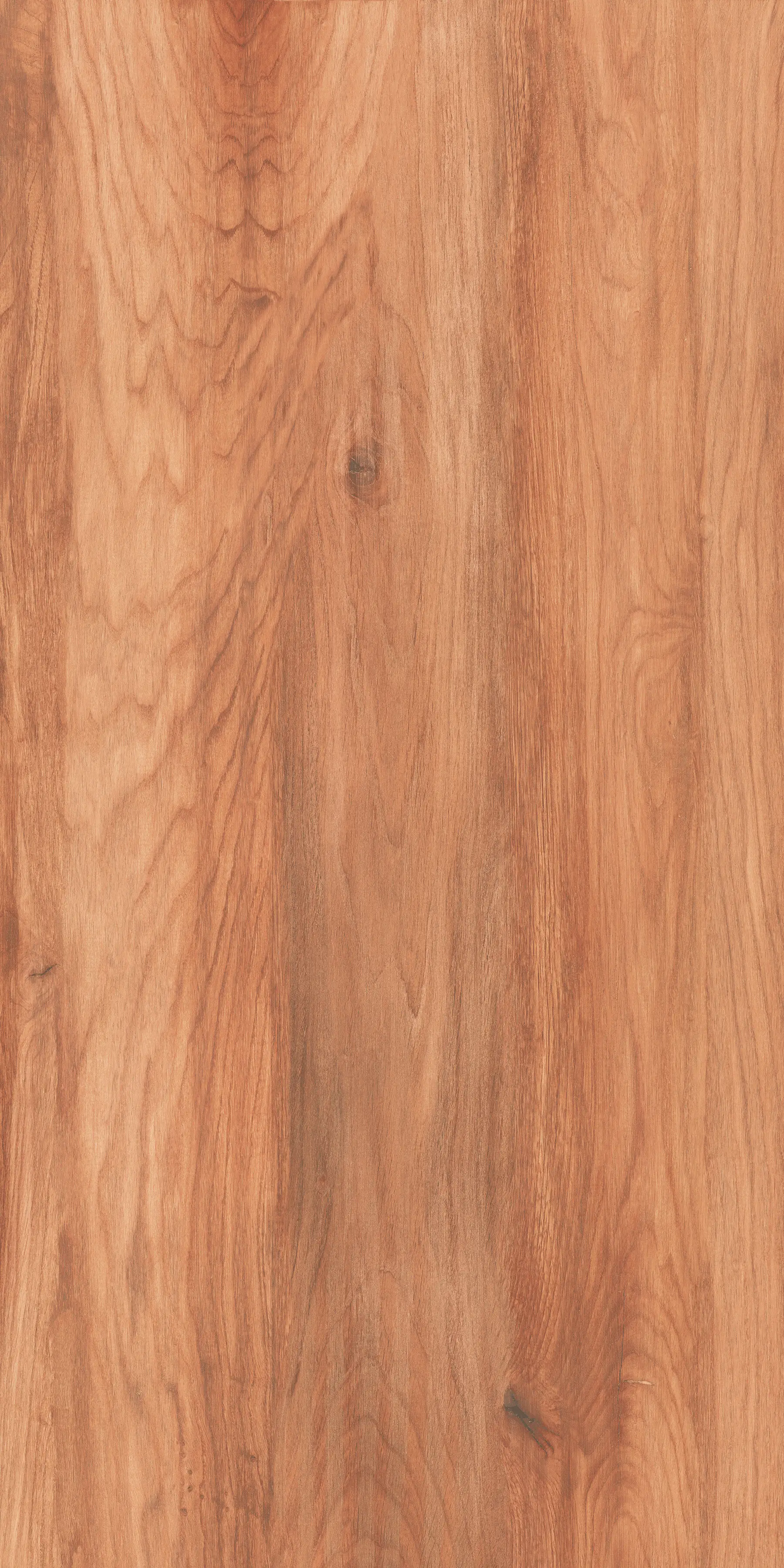 BETULA BROWN